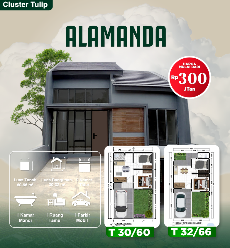 Alamanda - Cluster Tulip